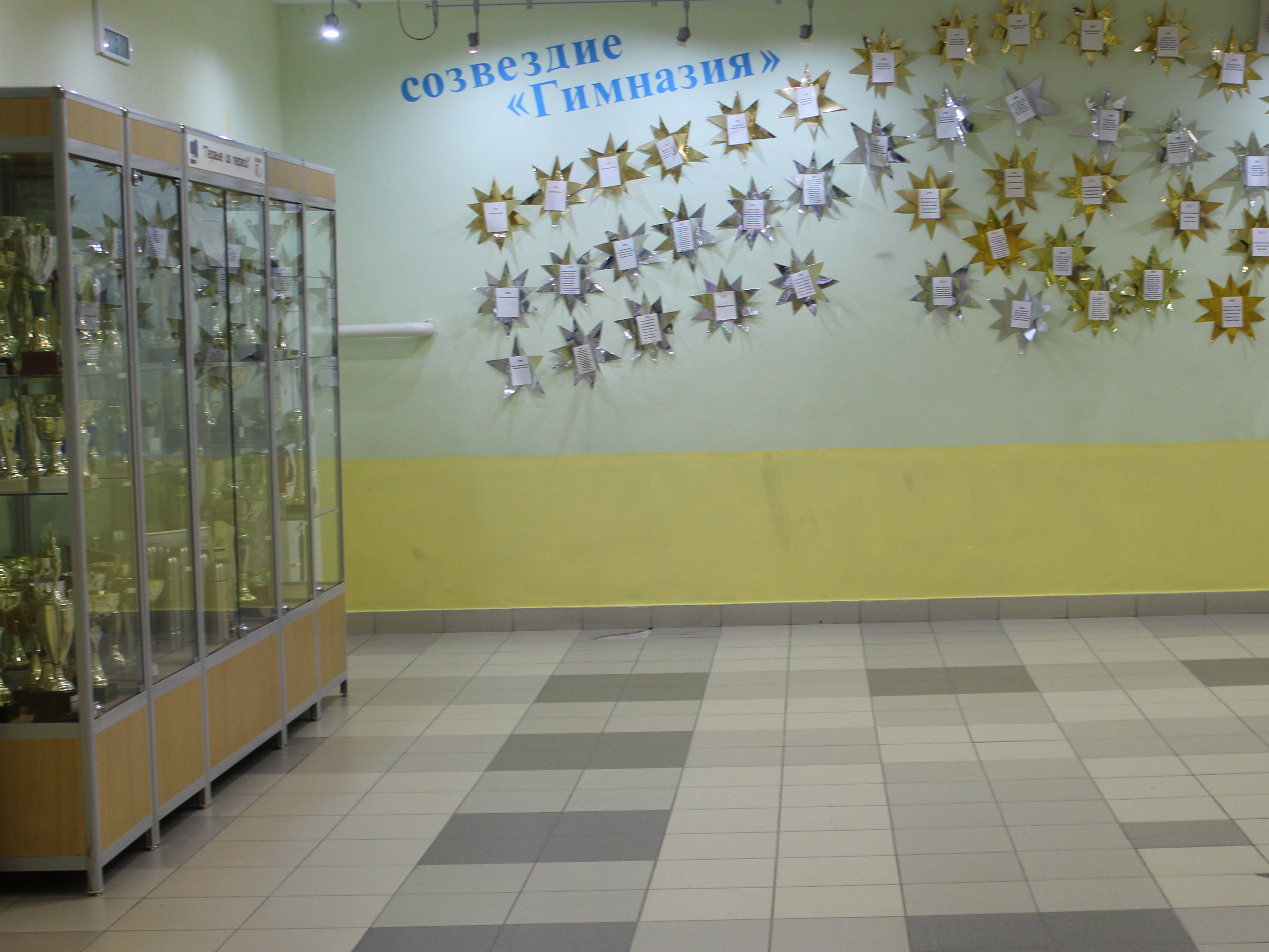 Созвездие "Гимназия"